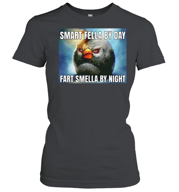 Smart fellas by day fart smellas by night Classic Women's T-shirt