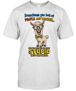 Sometimes You Look At People And Wonder How Do They Fit All That Stupid Into One Head T Classic Men's T-shirt