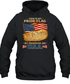 This Is My Pride Flag My Pronouns Are Usa  Unisex Hoodie