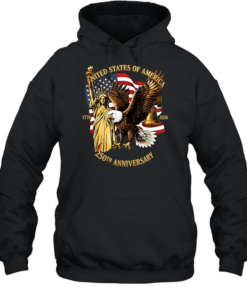 United States Of America 250 Year Unisex Hoodie
