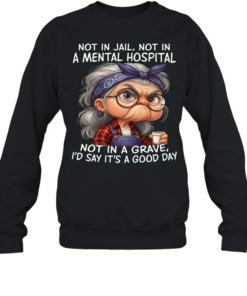 Woman Not In Jail Not In A Mental Hospital Not In A Grave I'd Say T Unisex Sweatshirt