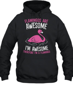 Flamingos Are Awesome I m Awesome Therefore I m a Flamingo  Unisex Hoodie