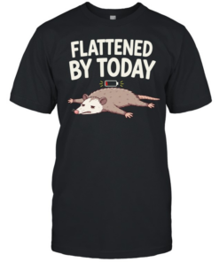 Flattened by Today Opossum Low Battery Classic Men's T-shirt