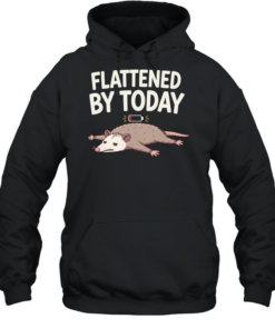 Flattened by Today Opossum Low Battery  Unisex Hoodie