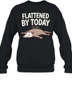 Flattened by Today Opossum Low Battery  Unisex Sweatshirt