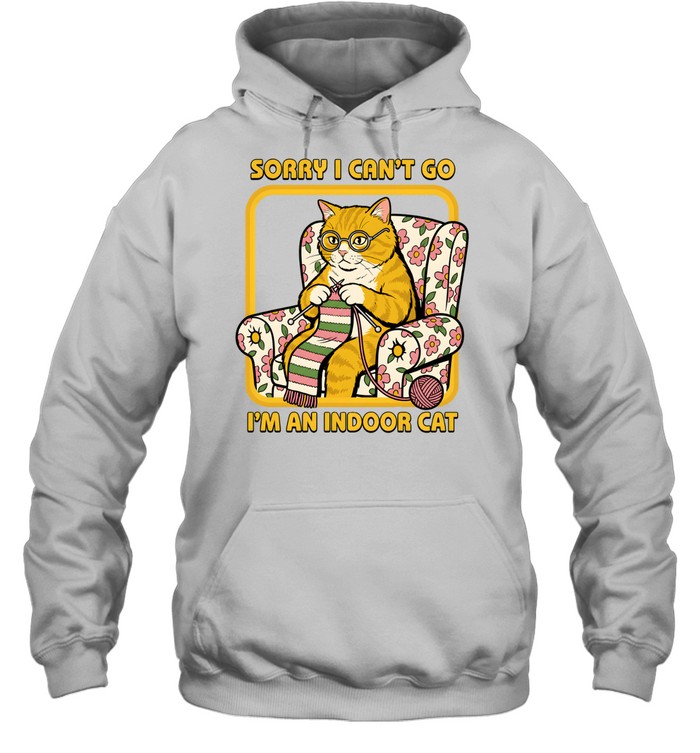 Sorry I Can't Go I'm An Indoor Cat Funny Introvert Unisex Hoodie